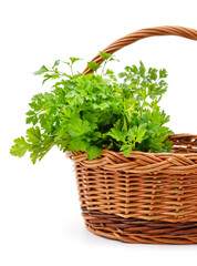 Naklejka premium Bunch of green parsley in the cart.