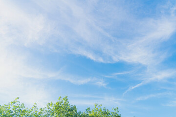 Obraz premium Background sky gradient , Bright and enjoy your eye with the sky refreshing in Phuket Thailand.