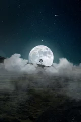 Fotobehang Volle maan en bomen nachtzicht op de maan is het silhouet van een boom op een berg voor achtergronden en ontwerpen