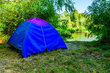 Blue tent in a forest on summer