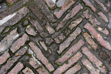 Detail of external Roman floor near the Colosseum