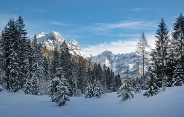 Fototapeta na wymiar Idyllic snow-covered landscape with mountain range in the background, Unken, Pinzgau, Salzburger Land, Austria