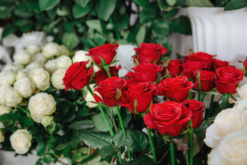 Red roses in a flower shop. Flower market. Roses of other colors on foreground and background. No people
