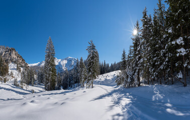 Idyllic winter landscape in the Salzburger Land, Pinzgau, Austria