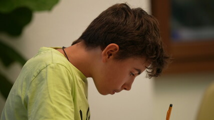 Adolescent kid doing homework studying at home, young boy studies