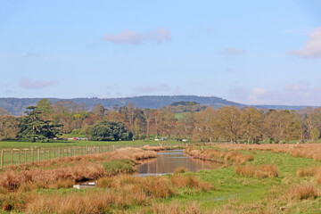 Obraz premium River Kenn in Devon