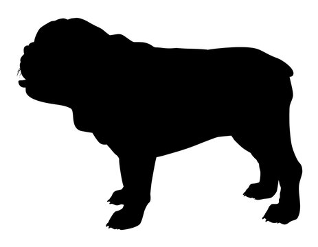 silhouette of a bulldog vector