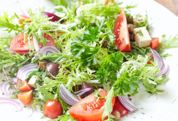 Salad with Feta Cheese, Olives, Tomatoes, Endive and Red Onion. Close up.