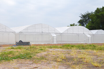 Greenhouse for growing cannabis in a closed system.