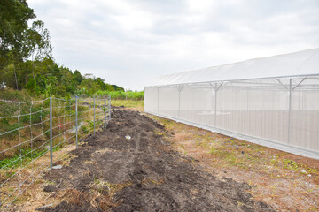 Greenhouse for growing cannabis in a closed system.