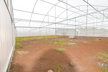 Greenhouse for growing cannabis in a closed system.