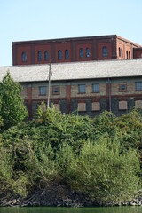 Old yellow and red brick stone building behind the trees in Mannheim Bonadieshafen harbour (vertical image), Mannheim, Baden Wurttemberg, Germany