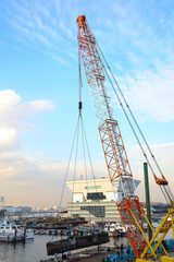 cranes in the harbor