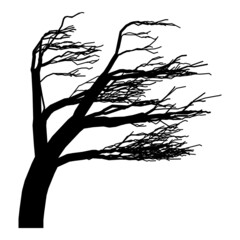 Dark Tree Flat Icon Isolated On White Background