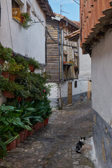 Street in the pretty town of Hervas in Caceres, Spain. 