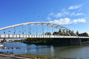 river Tisza in town Szeged in Hungary