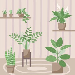 Vector illustration with indoor houseplants. Home decor. Flat style. Aloe, snake plant, ficus, ZZ plant, spathiphyllum, cactus, scindapsus.