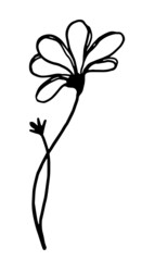 Clipart of outline wild plant. Hand drawn vector illustration. Black ink floral sketch isolated on white. Botanical vintage element for design, card, print, decoration.