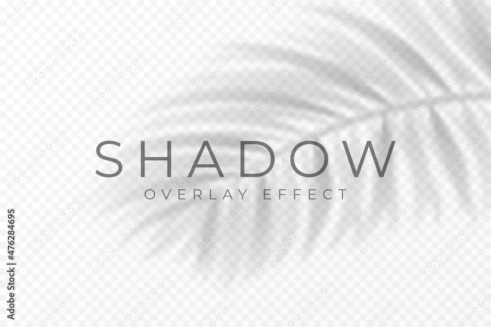Poster Shadow overlay effect. Transparent soft light and shadows from plant branches, leaves and foliage. Mockup of transparent shadow overlay effect and natural lighting. Vector