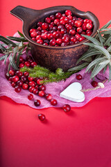 Red fresh cranberries in wooden bowl on color paper background