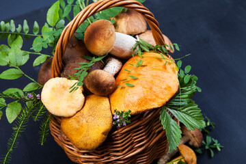Assorted edible mushrooms on an old dark background. Vegetarian healthy product. Healthy lifestyle.