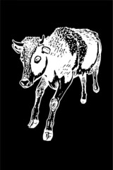 Vector cow walking ,isolated on black illustration,farm animal