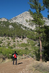 Obraz premium ridge, green and forest view