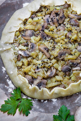 Pie with stewed potatoes and mushrooms on black background