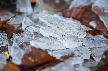凍った地面の氷
