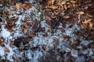 冬の凍った地面