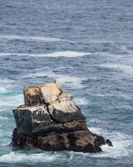 Rocks in the sea waves coast