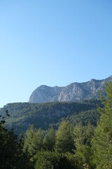 landscape in the mountains