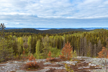Fototapeta na wymiar View of the forest and Lake Ladoga from Hiidenvuori Mountain. Nature of Karelia, Russia