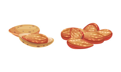 Almond kernels set. Healthy organic nutritious vegetarian product vector illustration