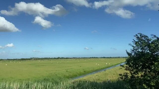 Wide shot out of a window of train, tracking along flat british UK southern England countryside fields and farmland clouds and blue sky - stock footage video