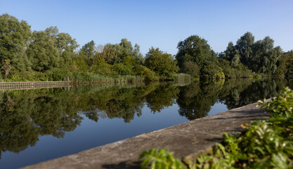 Reflection on the Broads