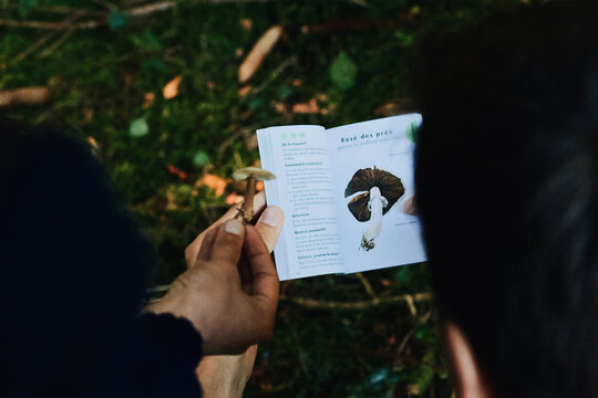 Man comparing a wild mushroom with a botanical book in the woods