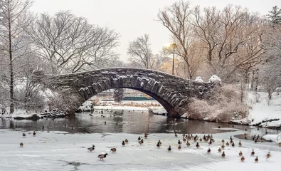 Brushed aluminium prints Gapstow Bridge Gapstow bridge after snow storm, Central Park
