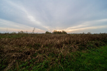 Autumn landscape of nature reserve Polder Groot-Mijdrecht
