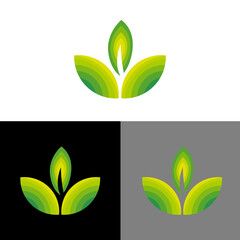 Abstract leaf, Eco logo, Natural color leaf logo template vector 