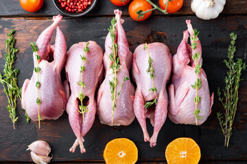 Fresh  raw meat quails ready for cooking, flat lay, on dark wooden background
