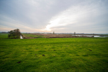 Obraz premium Autumn landscape of lake at nature reserve Polder Groot-Mijdrecht 