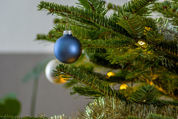 christmas tree with balls. Shiny Christmas blue ball hanging on pine branches