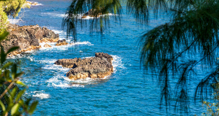 Obraz premium Scenic view of Onomea Bay from Onomea Bay Trail on Big Island, Hawaii.