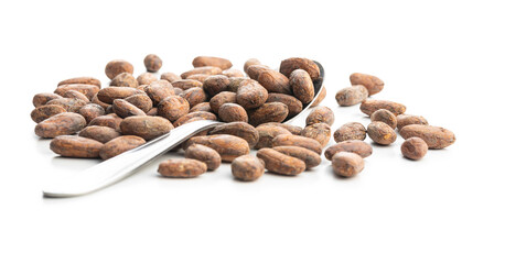 Dried cocoa beans