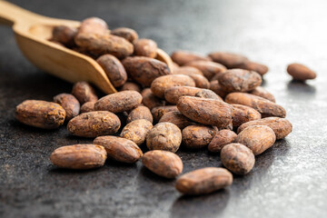 Dried cocoa beans