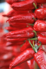 pimientos rojos secandose para vender espelette francia pais vasco francés 4M0A8173-as21