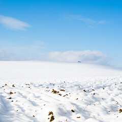 zimowy krajobraz, pola pokryte śniegiem