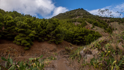 Paysage de Porto Santo
