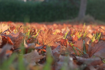 Entrée dans l'hiver